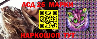 марки lsd Сланцы