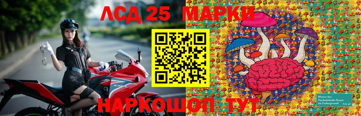 Марки NBOMe 1500мкг  Марки NBOMe 1500мкг  Россошь  Вход с VPN 