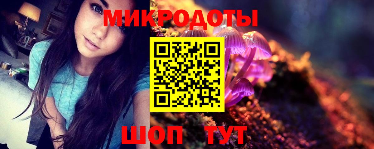 Псилоцибиновые грибы Psilocybe Россошь