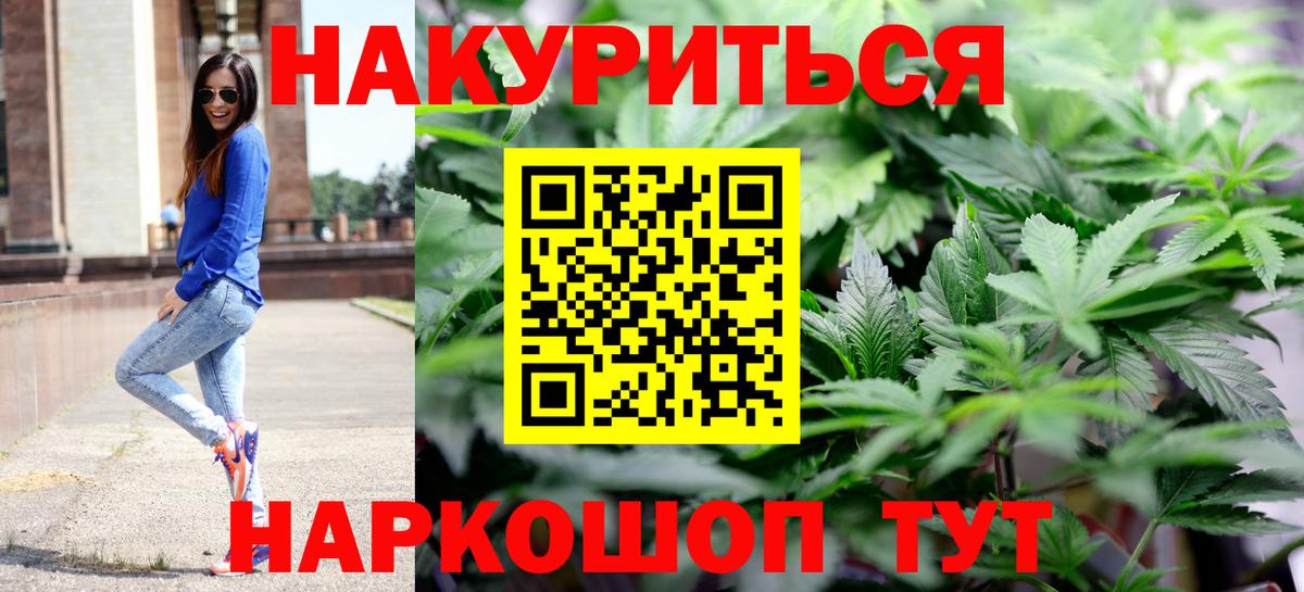 Бошки Шишки планчик Россошь